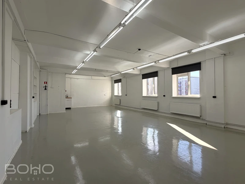 Светлые помещения под творческую деятельность рядом с Островным мостом