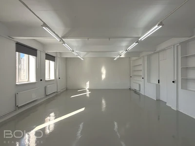 Светлые помещения под творческую деятельность рядом с Островным мостом