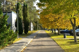 3-х комнатная квартира у моря в уникальном проекте Albatross Home