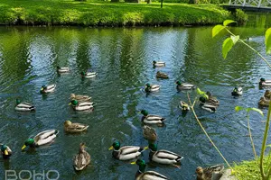 Квартира с приятной атмосферой рядом с парком Nordeķu muiža