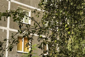 Спокойствие и уют в ритме города